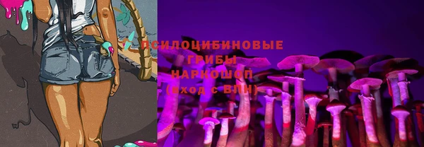 МДПВ Абдулино