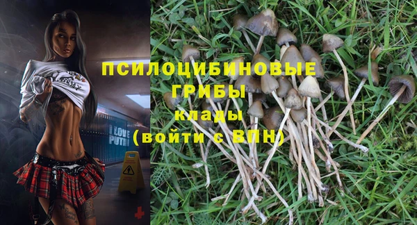 МДПВ Абдулино