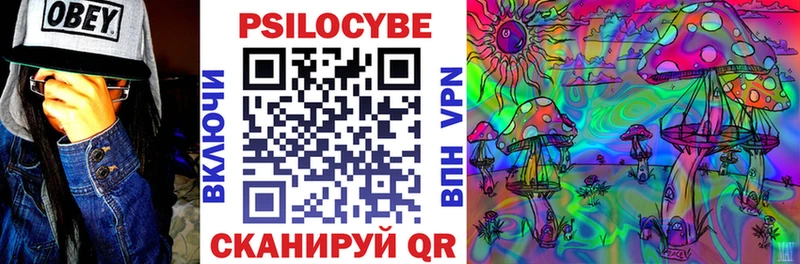 Галлюциногенные грибы Psilocybe  кракен онион  Анадырь 